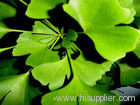 Ginkgo Leaf Extract