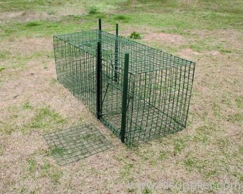 Collapsible Bird Trap