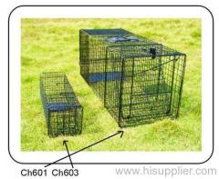 live animal cage trap