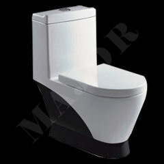 Washdown One piece Toilet