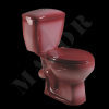 Washdown Two Piece Toilet