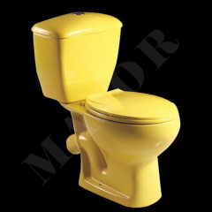 Washdown Two Piece Toilet