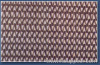 stainless steel mesh conveyor belt
