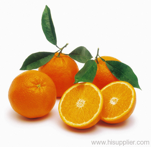 (xinfeng) newhall navel orange