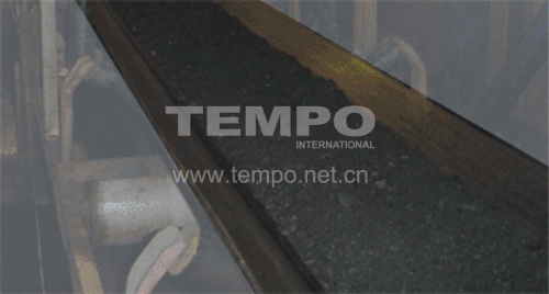 Chemical Resistant Conveyor Belt