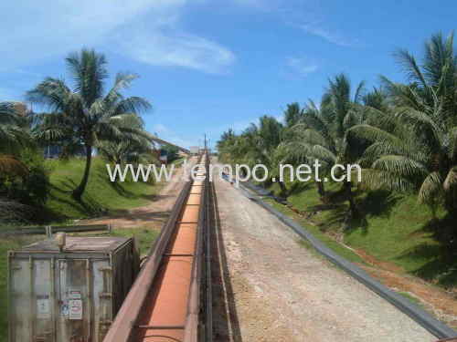 Chemical Resistant Conveyor Belts