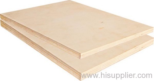 birch plywood,poplar plywood