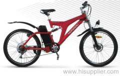 Electric Bicycle