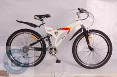 steel mountain bike