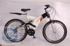 steel mountain bike