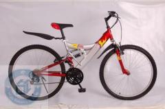 steel mountain bike