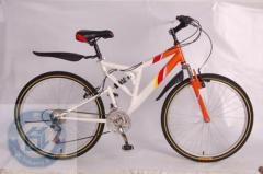 steel mountain bike