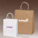 color kraft paper bag