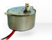 DC Synchronous motor