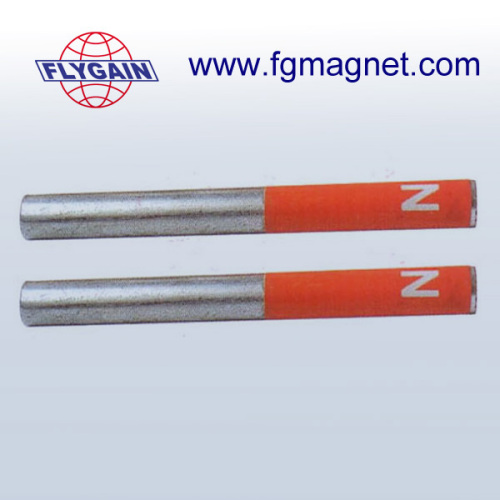 educational alnico magnets