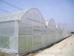 insect net