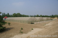 insect net