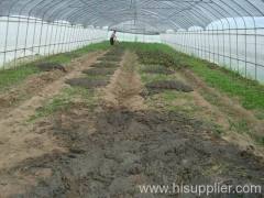 insect net