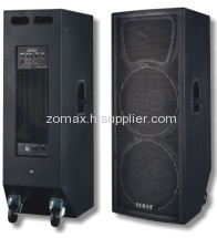 professional loudspeaker