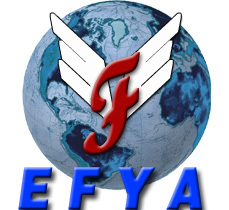 Efya International Imp&Exp Co., Ltd