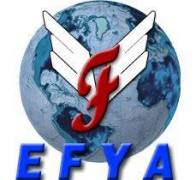 Efya international import & export trade Co., Ltd