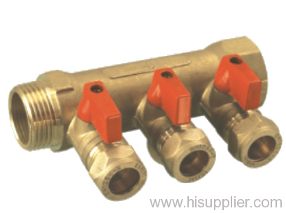 Manifold Valve