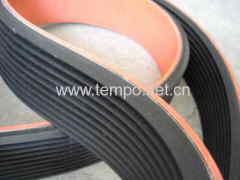 Poly v Belt