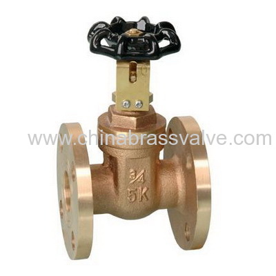 Flanged Gate Valve