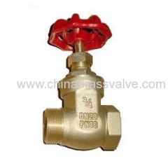 Brass gate valve