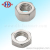 Stainless steel Hex Nut