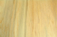 Linyi Shuangsheng Wood Co.,Ltd