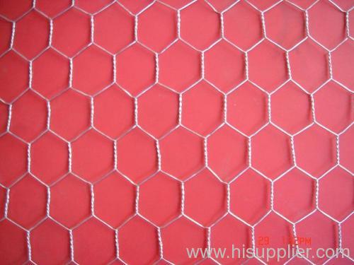 hexagonal wire mesh