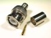 BNC MALE CONNECTOR