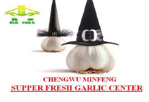 Chengwu County Minfeng Fruits & Vegetables Co., Ltd.