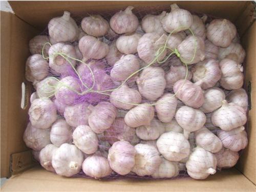 Pizhou Baolan Garlic Co., Ltd