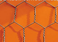 Hexagonal Wire Netting