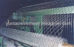 Hexagonal Wire Netting