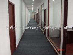 Lonyung lighting co.,ltd