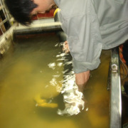 waterleakage testing