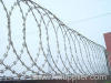 Razor barbed mesh