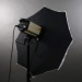 umbrella softbox
