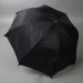 umbrella soft light box