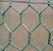 hexagonal wire netting