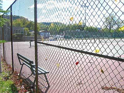 Chain Link Fence With Support Posts