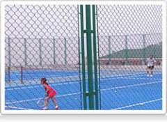 Heibei Dunqiang Hardware Mesh Co.,Ltd