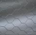 hexagonal wire netting