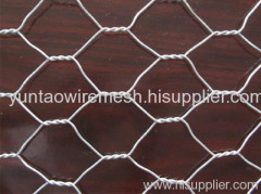 Hexagonal Wire Mesh