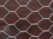 hexagonal wire netting