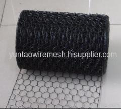 Hexagonal Wire Mesh