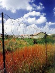 Razor Wire Fence